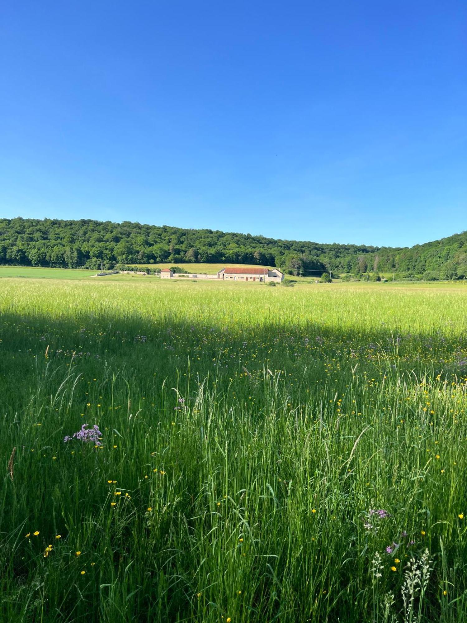 Gite De La Vallee De L'Aujon 아크앙바로이스 외부 사진
